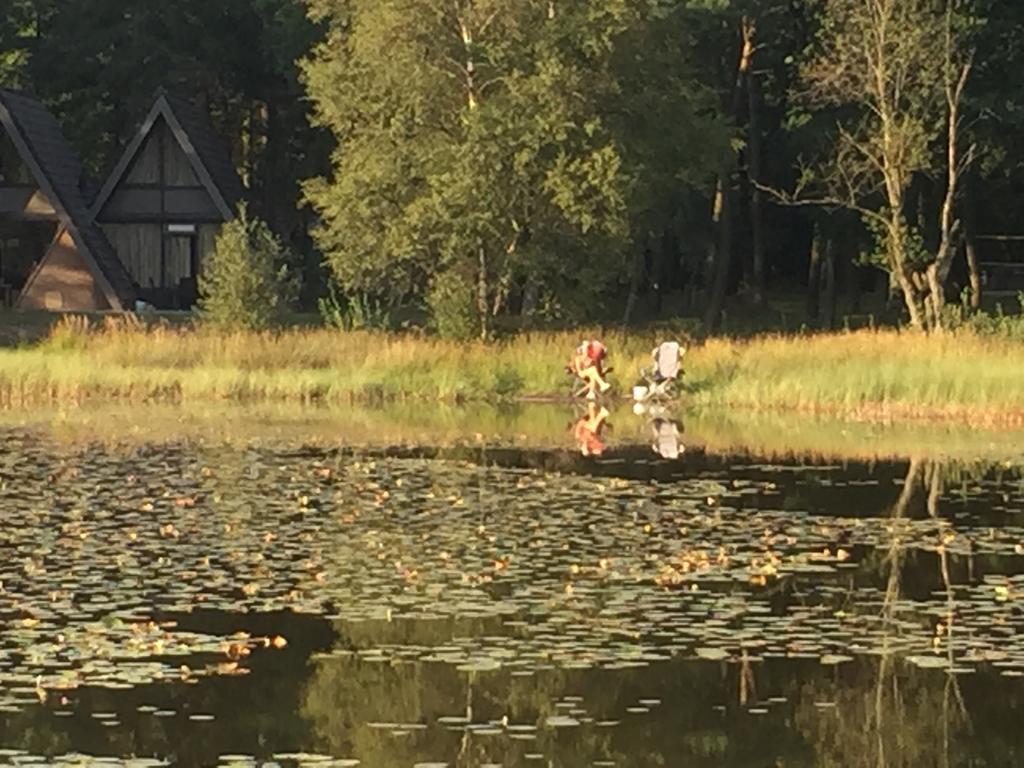 'T Vosseven Vakantiehuizen Stramproy 部屋 写真