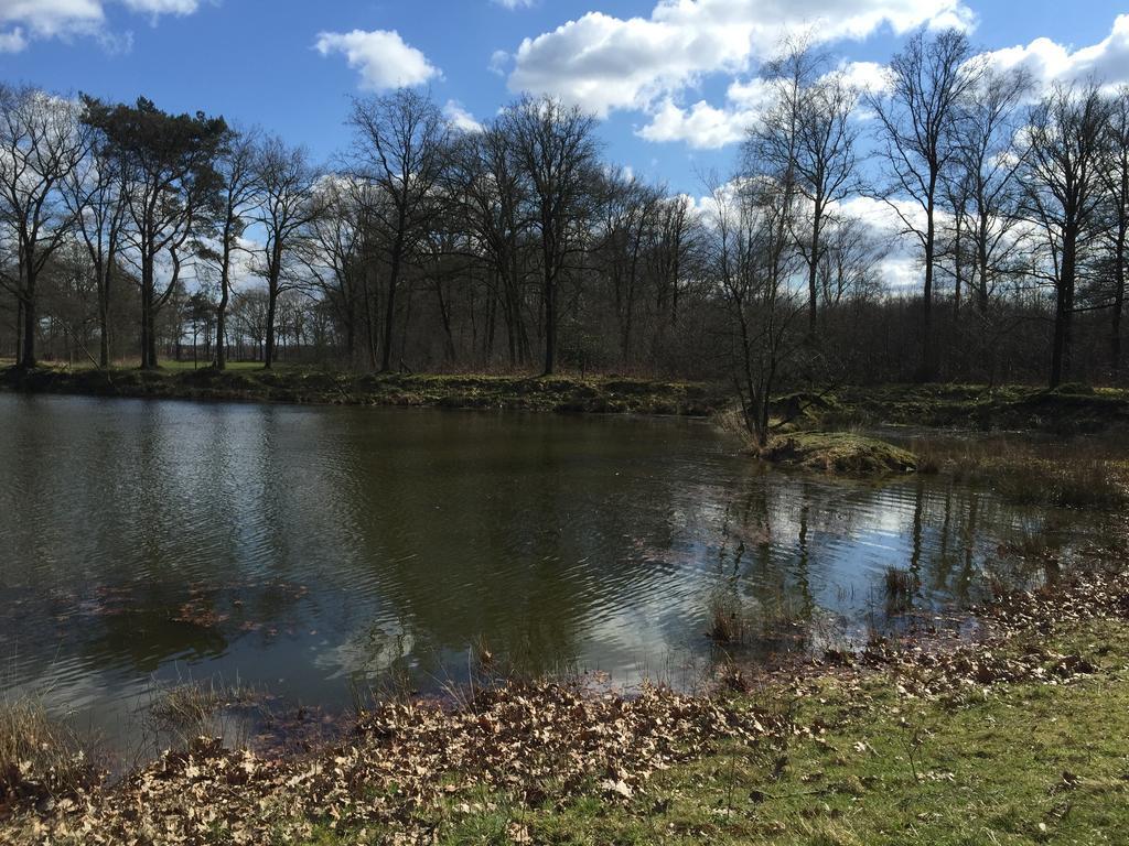 'T Vosseven Vakantiehuizen Stramproy エクステリア 写真