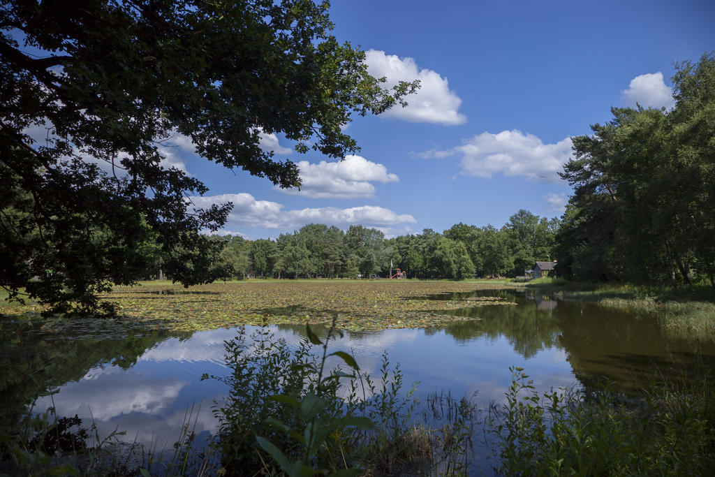 'T Vosseven Vakantiehuizen Stramproy エクステリア 写真