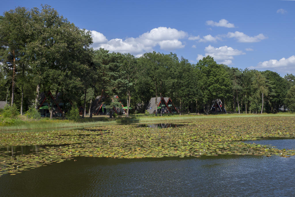 'T Vosseven Vakantiehuizen Stramproy 部屋 写真